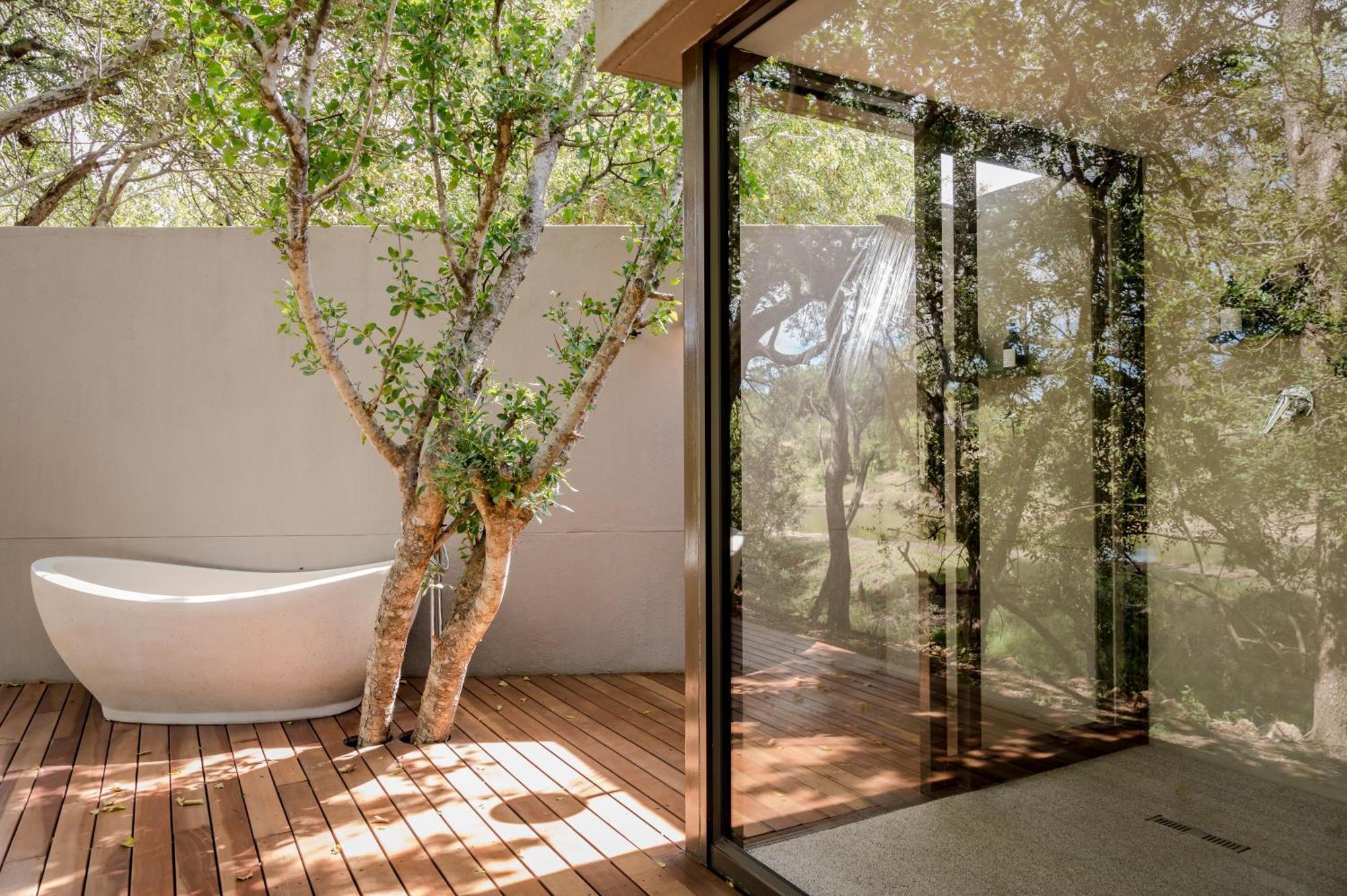 Serondella Safari Lodge 쏜부시 게임 리저브 객실 사진