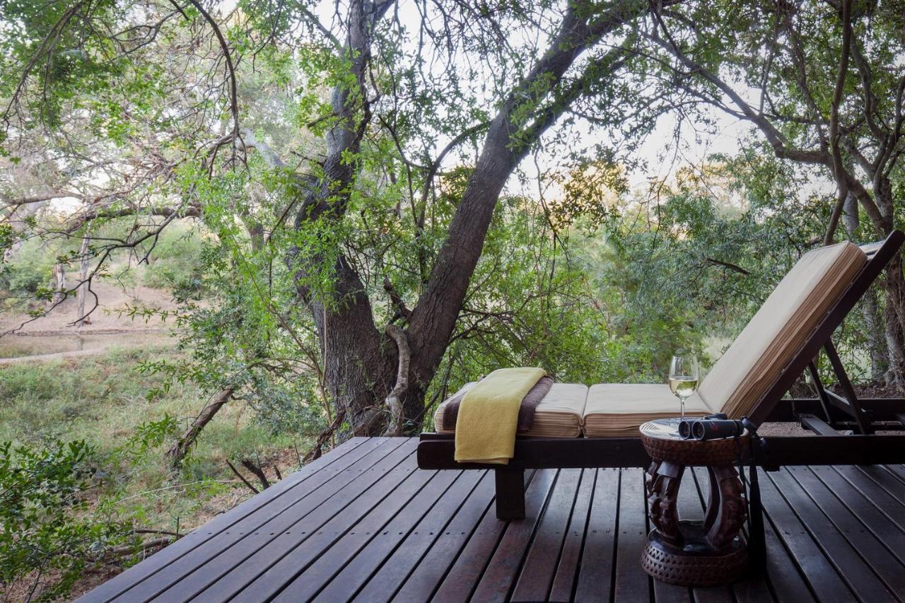 Serondella Safari Lodge 쏜부시 게임 리저브 외부 사진