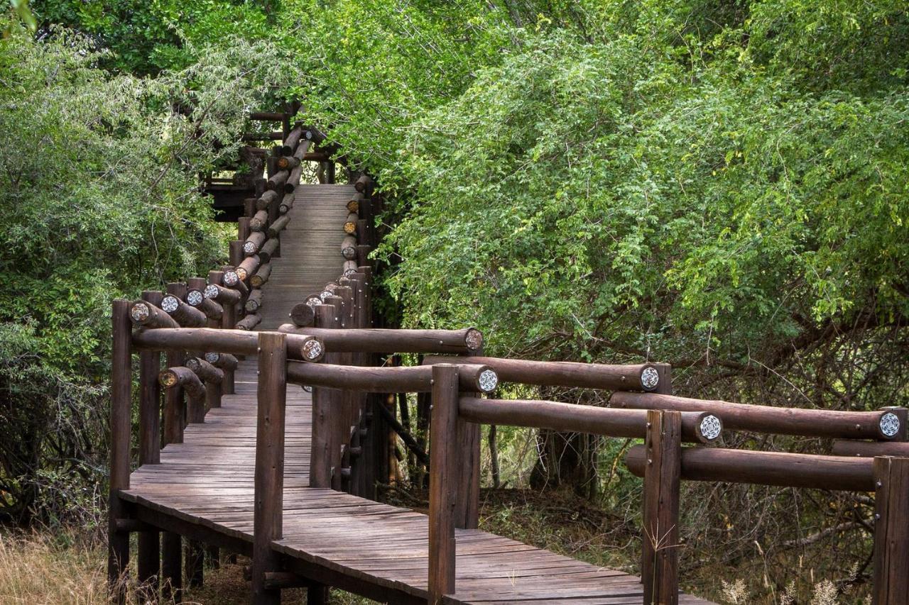 Serondella Safari Lodge 쏜부시 게임 리저브 외부 사진